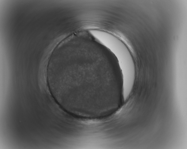 X0000089750385200707201926