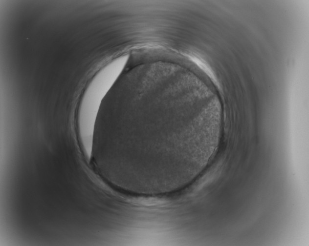 X0000089750389200707201926