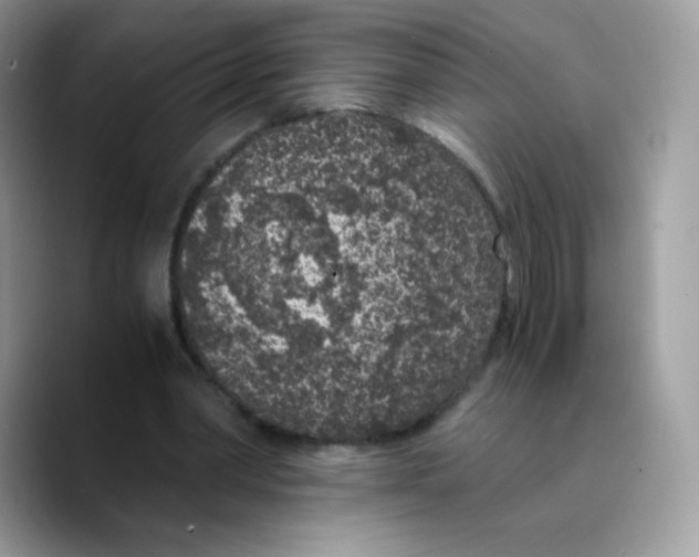 X0000089750390200707201926