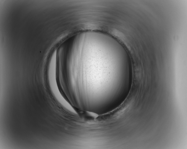 X0000089750395200707201926