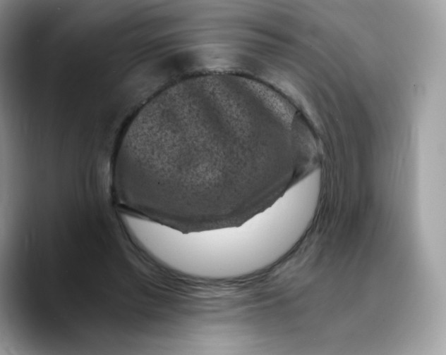 X0000089750397200707201926