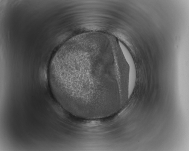 X0000089750398200707201926