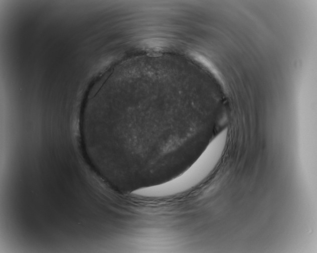 X0000089750399200707201926