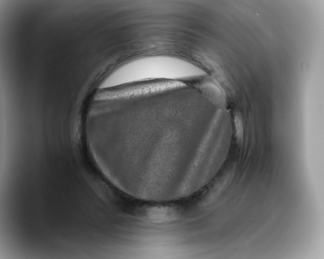 X0000089750400200707201926