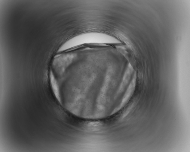 X0000089750401200707201926