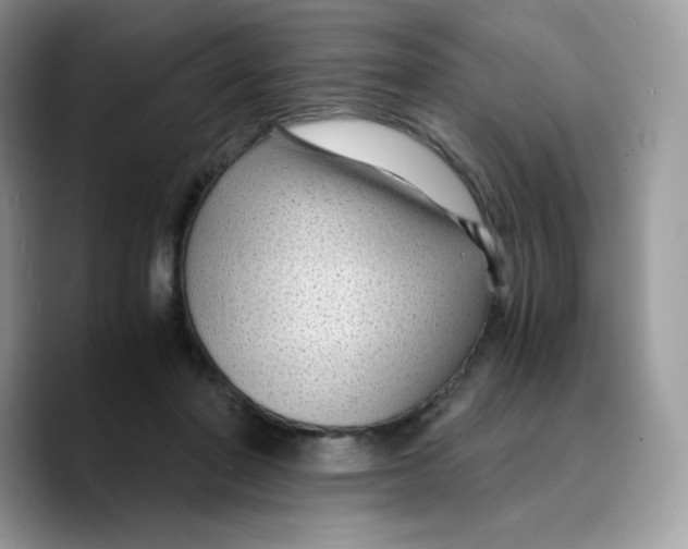 X0000089750406200707201926