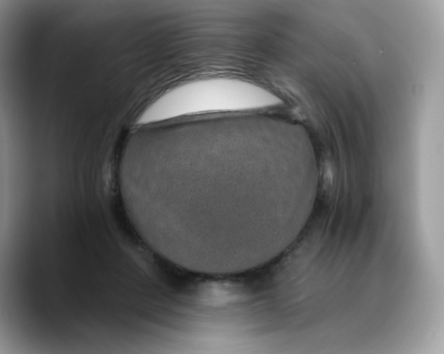 X0000089750408200707201926