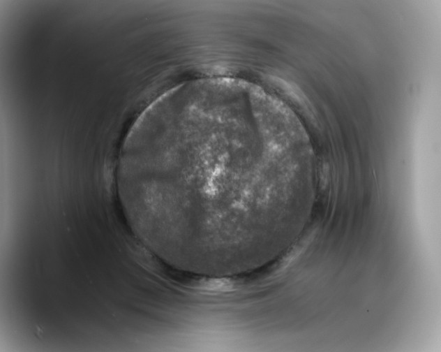 X0000089750409200707201926