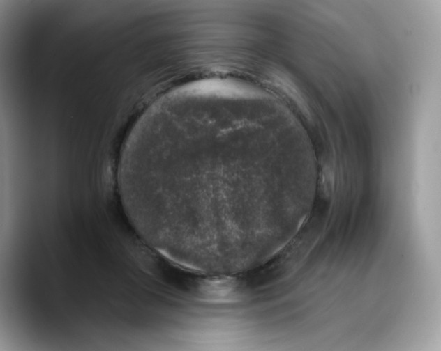 X0000089750410200707201926