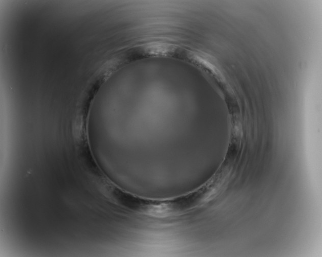 X0000089750411200707201926