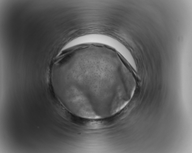 X0000089750413200707201926