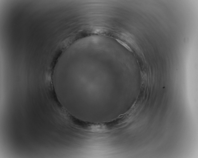 X0000089750415200707201926