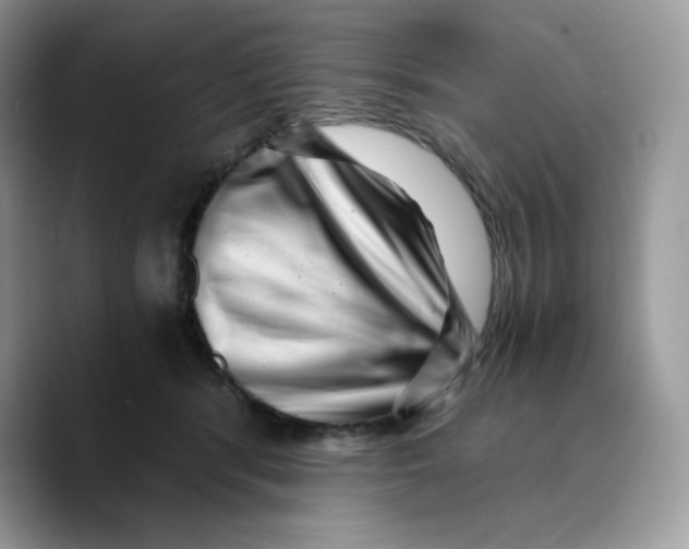 X0000089750416200707201926