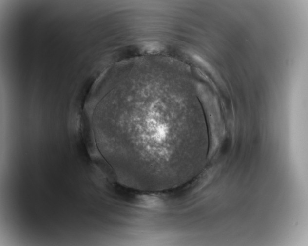 X0000089750417200707201926