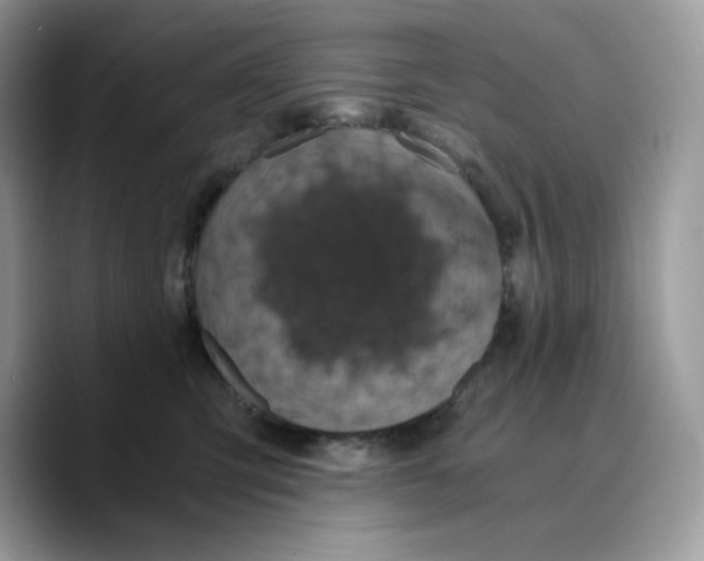 X0000089750423200707201926