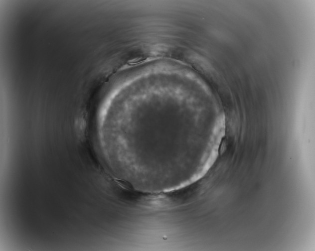 X0000089750427200707201926