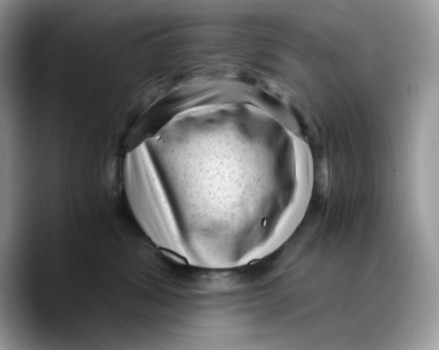 X0000089750428200707201926