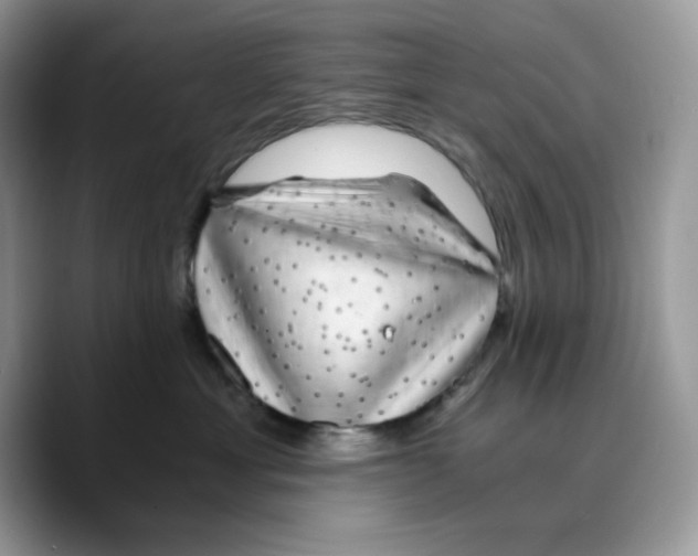 X0000089750429200707201926