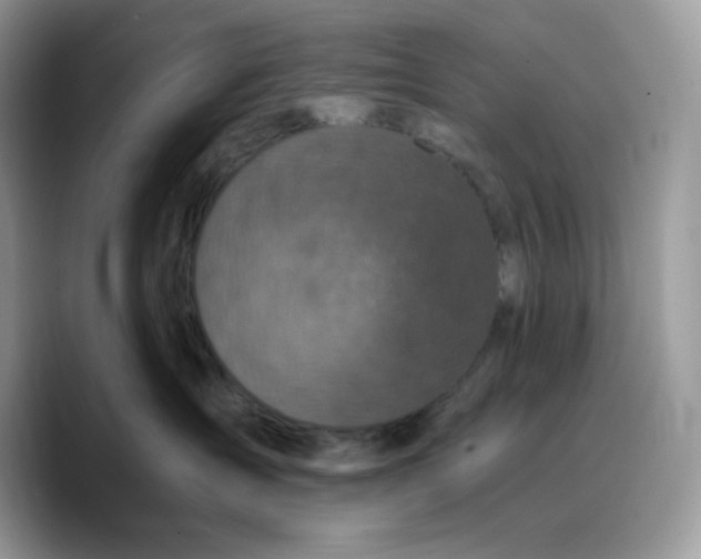 X0000089750431200707201926