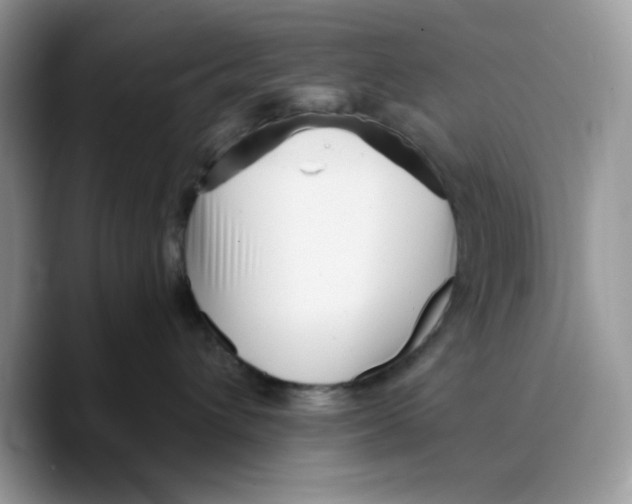 X0000089750432200707201926