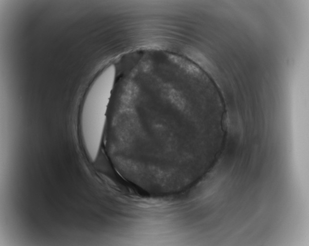 X0000089750434200707201925