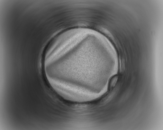 X0000089750435200707201925