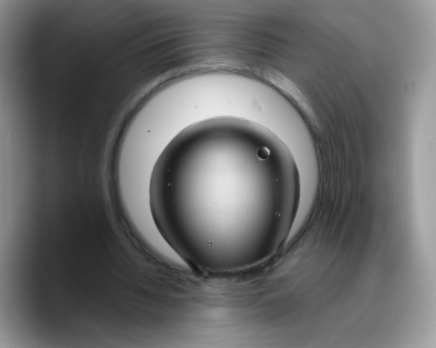 X0000089750436200707201925