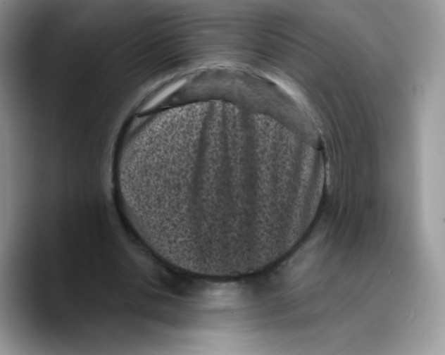 X0000089750438200707201925