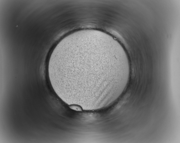 X0000089750439200707201925