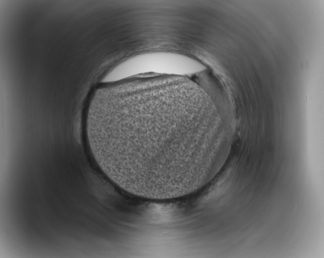 X0000089750442200707201925