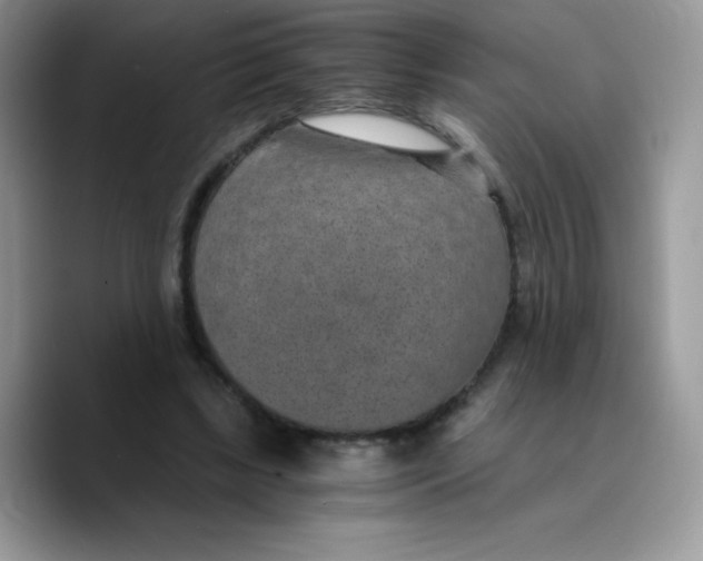 X0000089750443200707201925