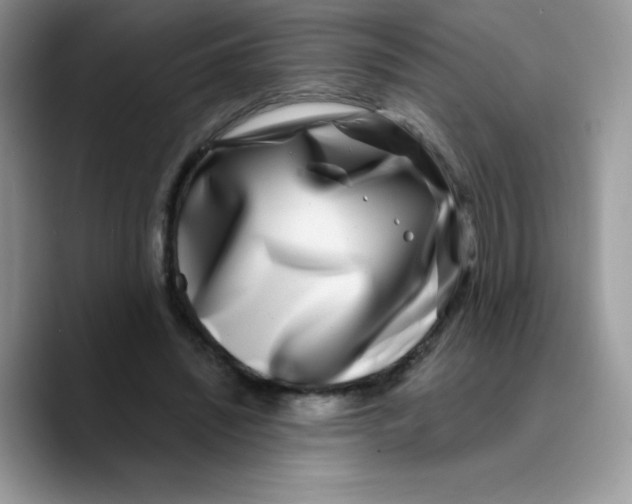 X0000089750444200707201925