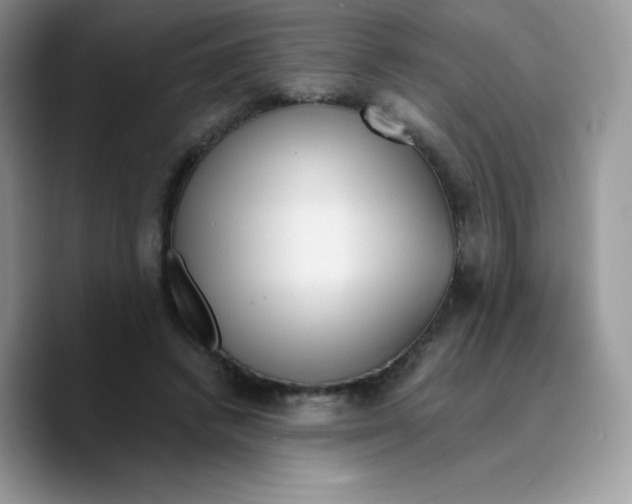 X0000089750448200707201925