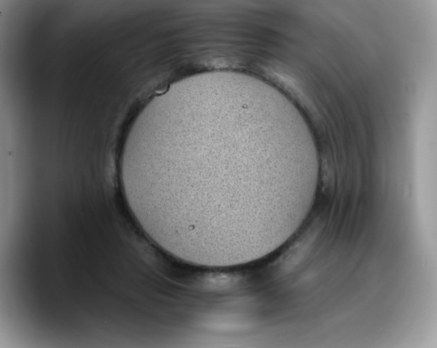 X0000089750453200707201925