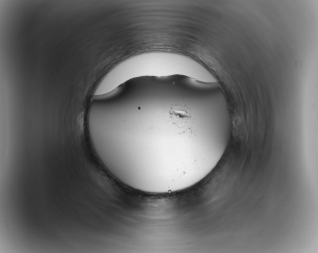 X0000089750454200707201925