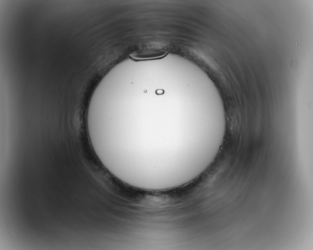 X0000089750455200707201925