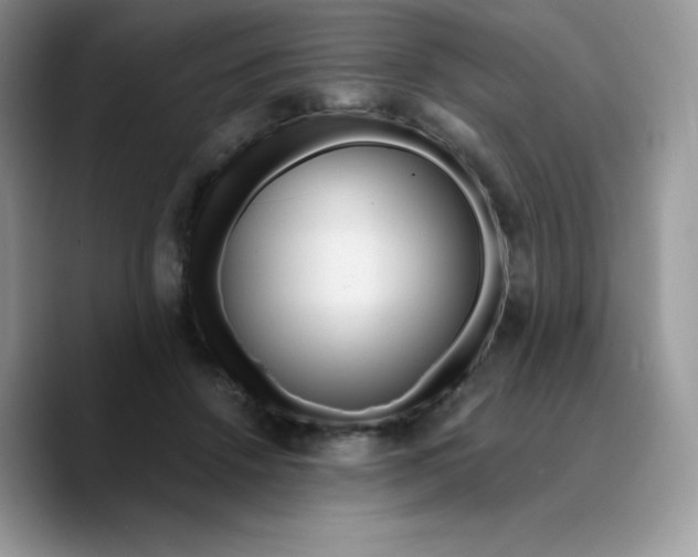 X0000089750456200707201925