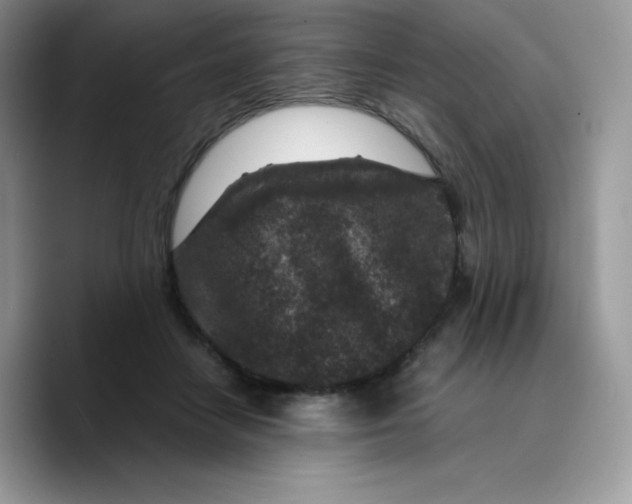 X0000089750458200707201925