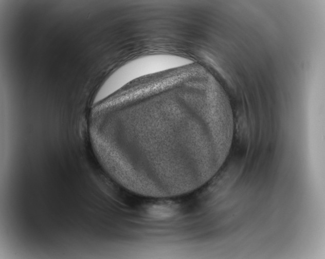 X0000089750459200707201925