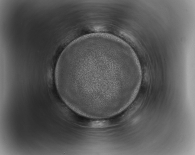 X0000089750461200707201925