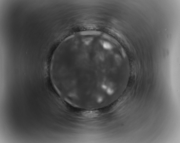 X0000089750465200707201926