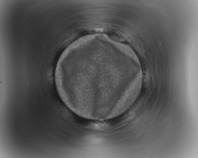 X0000089750466200707201926