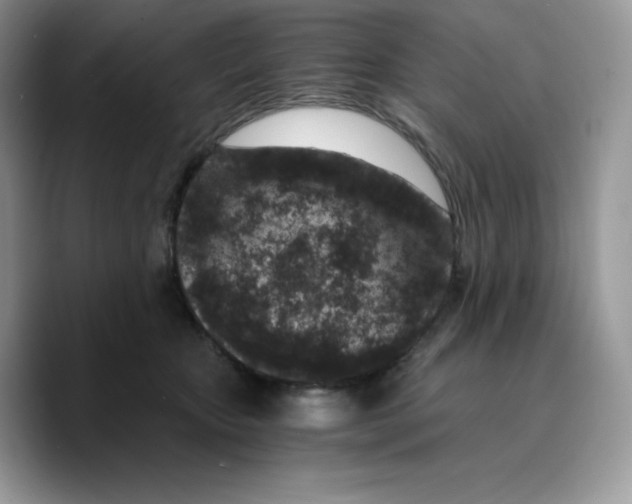 X0000089750467200707201926