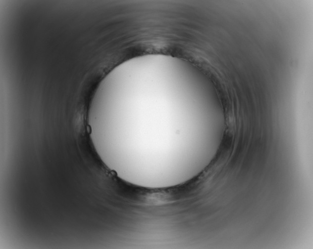 X0000089750468200707201926