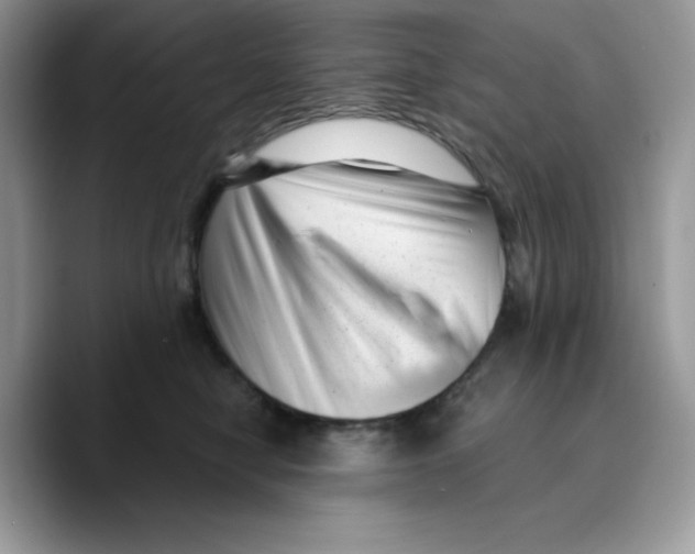 X0000089750470200707201926