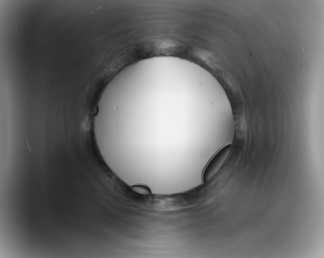 X0000089750472200707201926