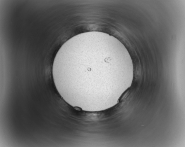 X0000089750473200707201926