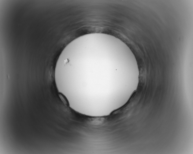 X0000089750474200707201926