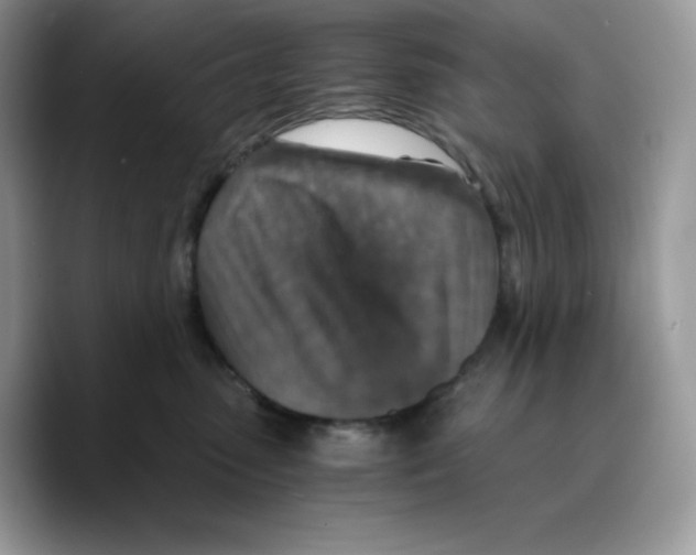 X0000089750475200707201926