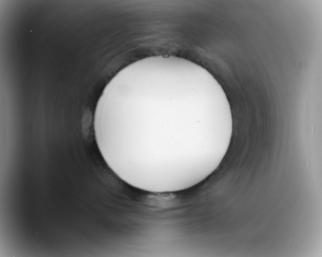 X0000089750480200707201926